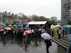 Auckland Festival