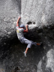 「Monkey and the Magic Peach」（V8）