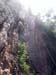 040828tonsai02